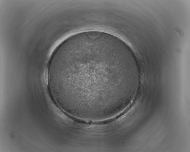 X0000113601510200909181341