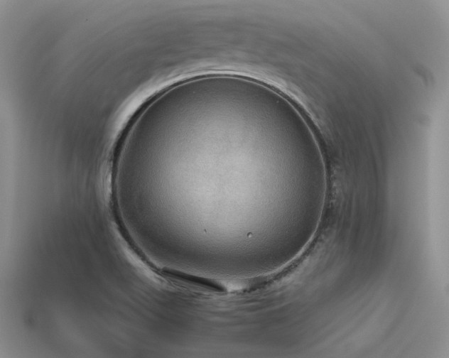 X0000113601511200909181341