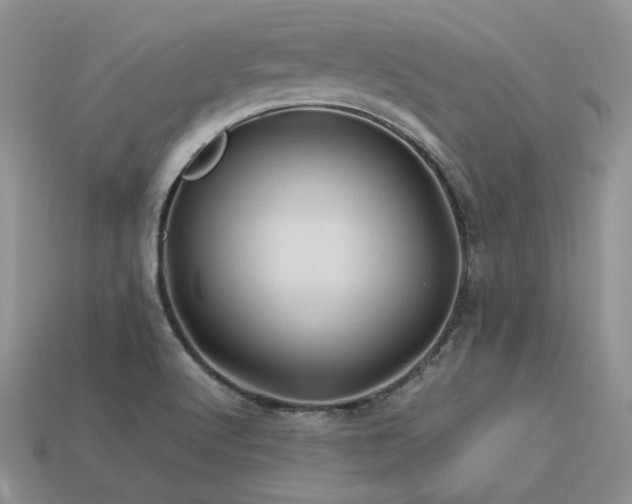 X0000113601512200909181341