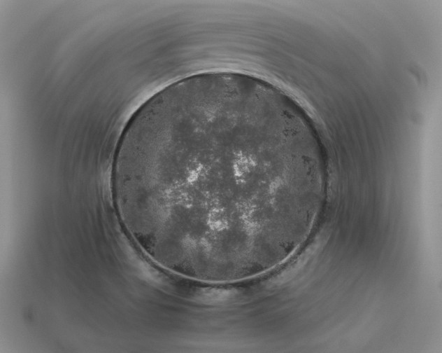 X0000113601513200909181341