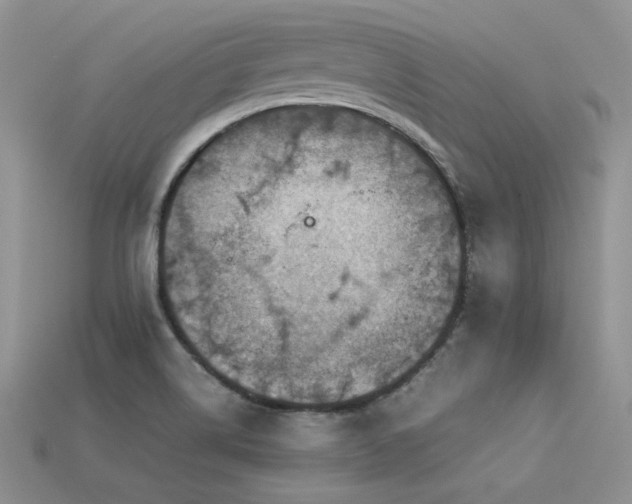 X0000113601514200909181341