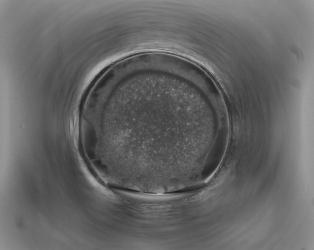 X0000113601515200909181341