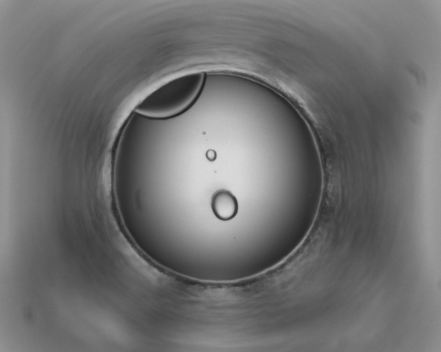 X0000113601516200909181341