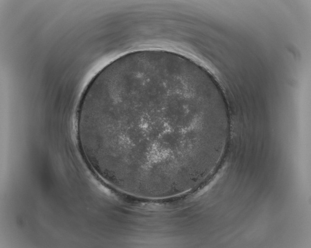 X0000113601517200909181341