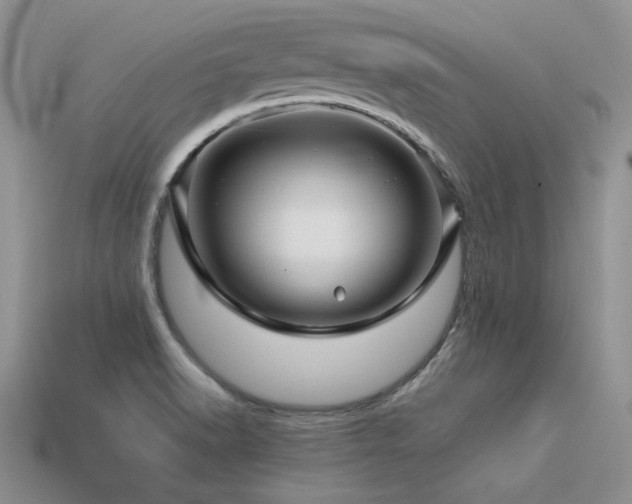 X0000113601518200909181341