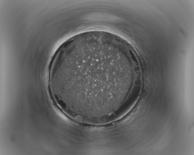 X0000113601519200909181341