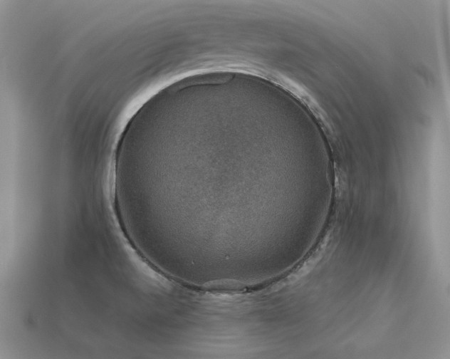 X0000113601520200909181341