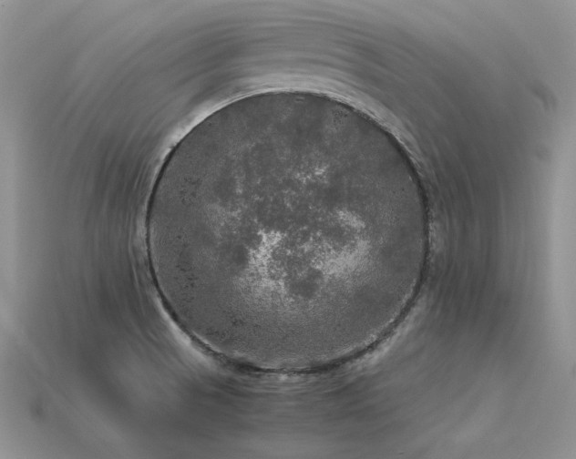 X0000113601521200909181341