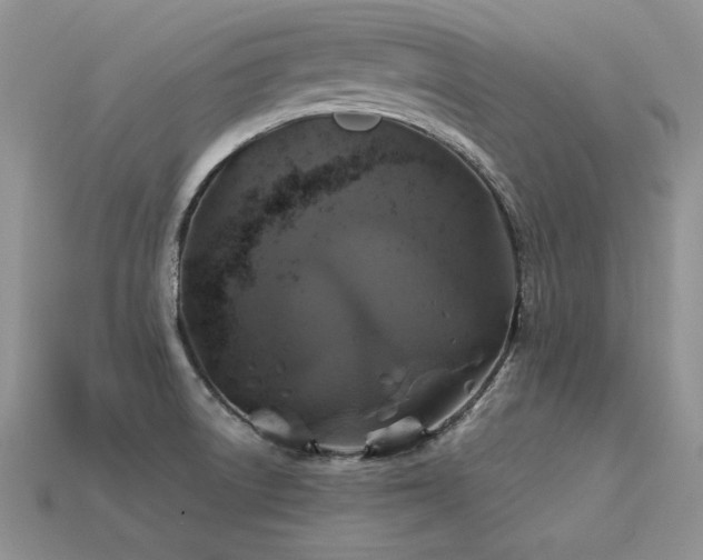 X0000113601522200909181341