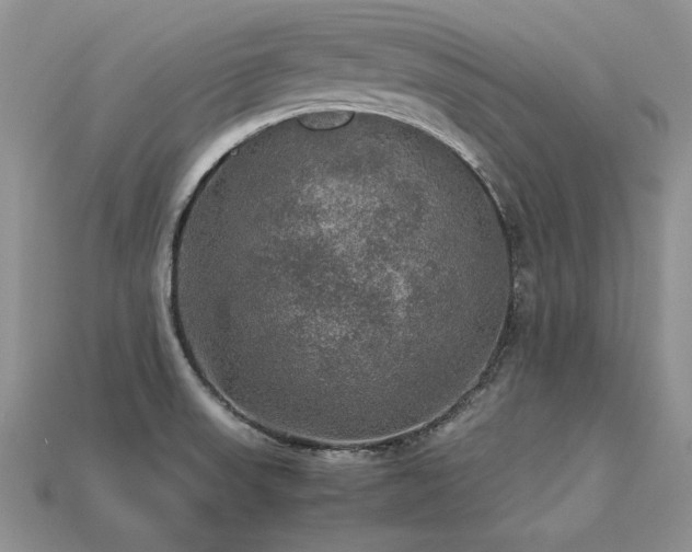 X0000113601523200909181341