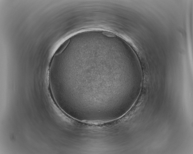 X0000113601524200909181341