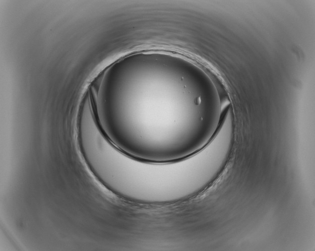 X0000113601525200909181341