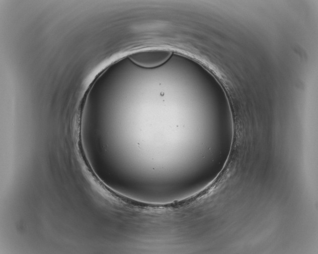 X0000113601526200909181341