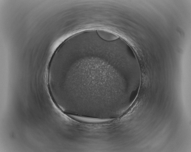 X0000113601527200909181341