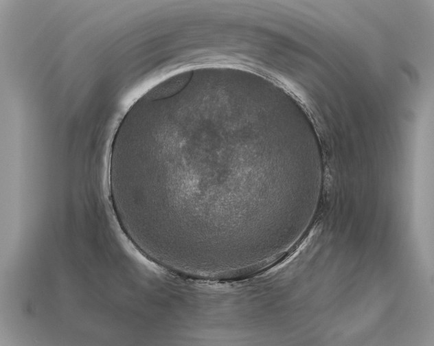 X0000113601528200909181341