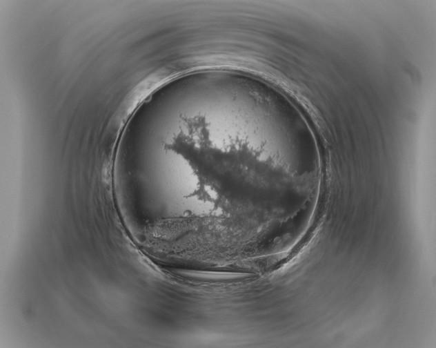 X0000113601529200909181342