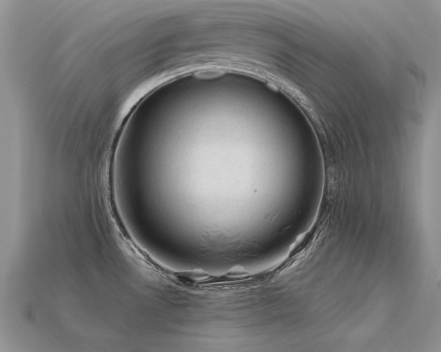 X0000113601530200909181342