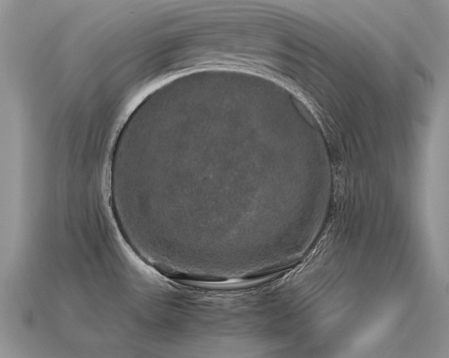 X0000113601531200909181342