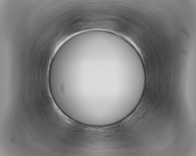 X0000113601532200909181342