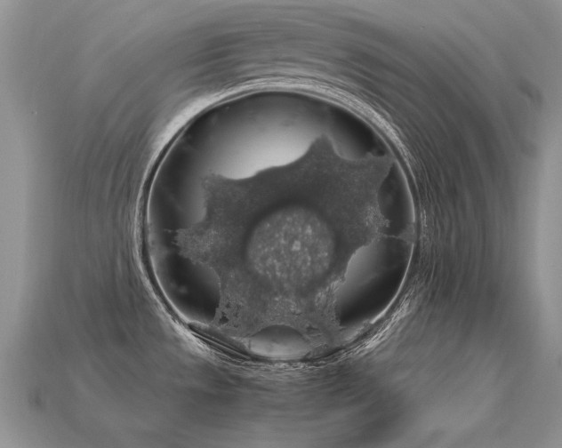 X0000113601533200909181342