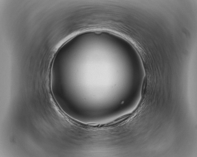 X0000113601534200909181342