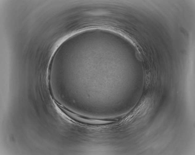 X0000113601535200909181342