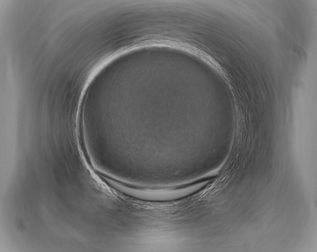 X0000113601536200909181342