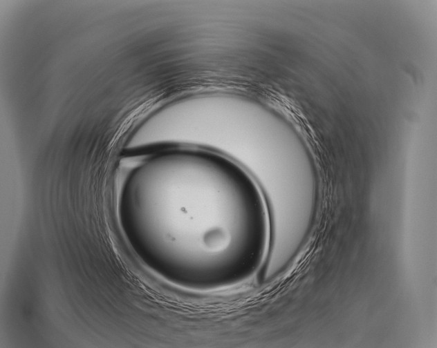 X0000113600001200909251206