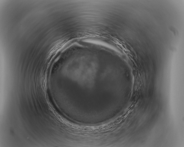 X0000113600002200909251206