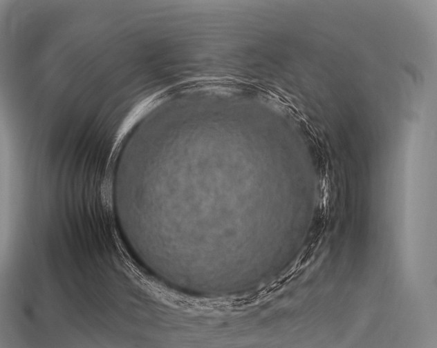 X0000113600004200909251206