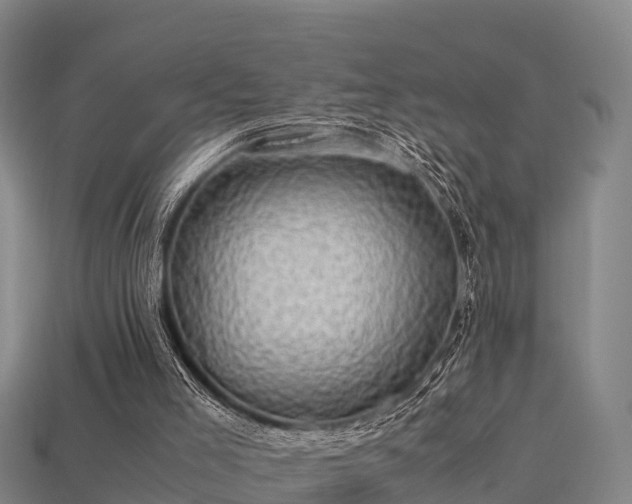 X0000113600005200909251206