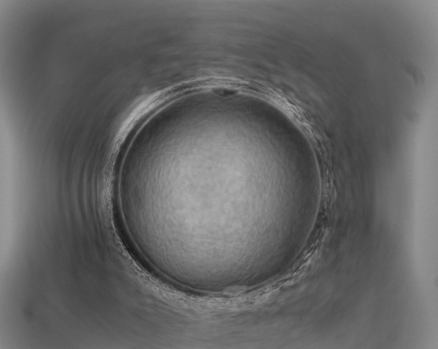 X0000113600007200909251206