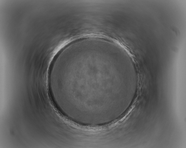 X0000113600008200909251206