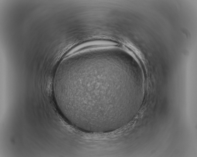 X0000113600009200909251206