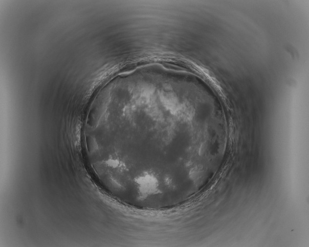 X0000113600010200909251206