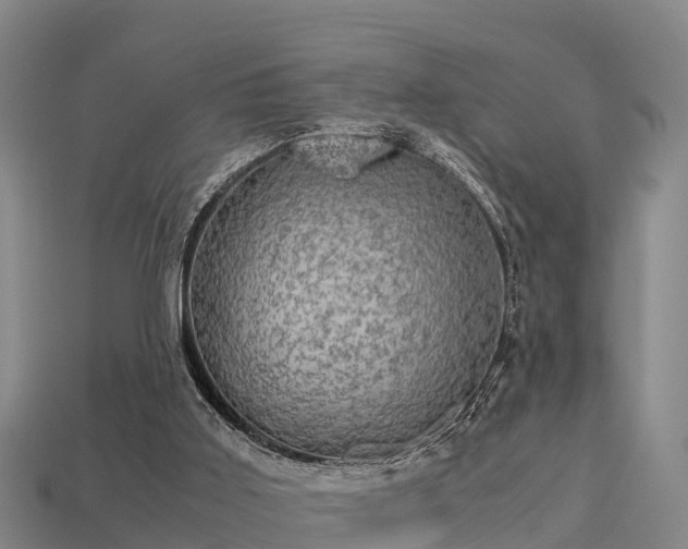 X0000113600011200909251206