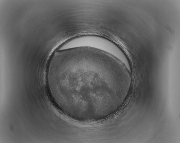 X0000113600012200909251206