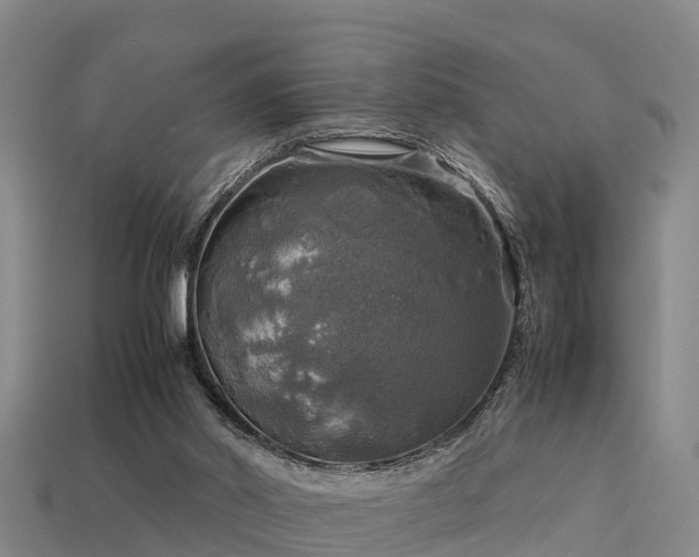 X0000113600014200909251206