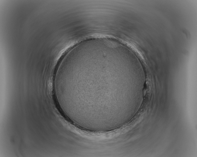 X0000113600015200909251206