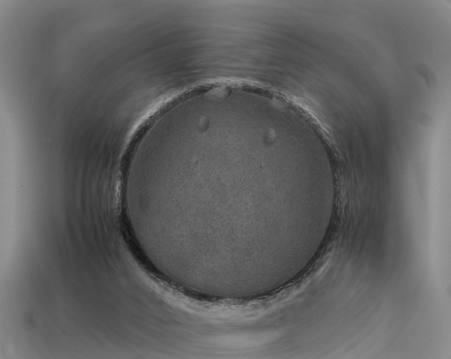 X0000113600016200909251206