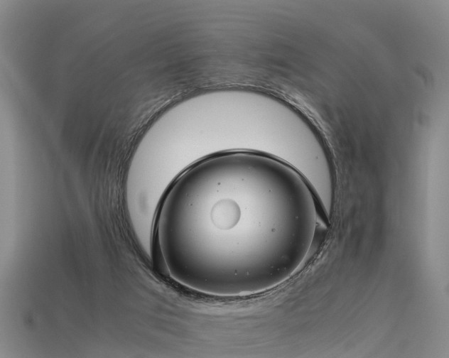 X0000113600017200909251206