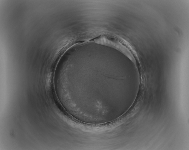 X0000113600018200909251206