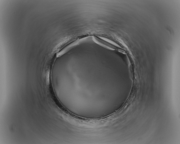 X0000113600019200909251206