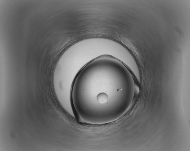 X0000113600021200909251206