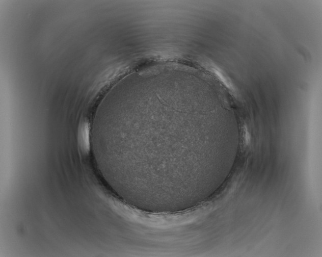 X0000113600022200909251206