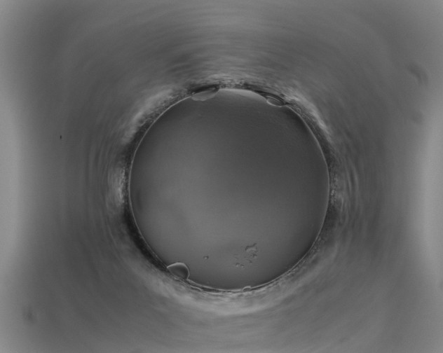 X0000113600023200909251206