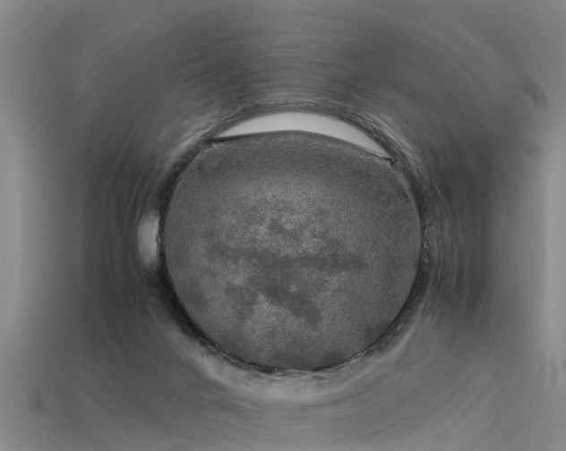 X0000113600024200909251206