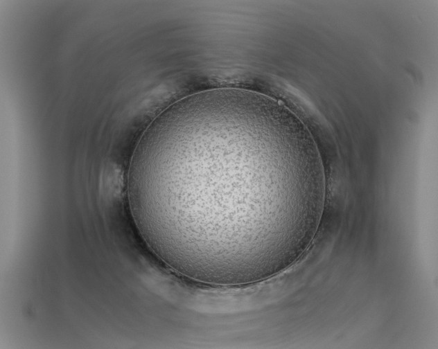 X0000113600025200909251206