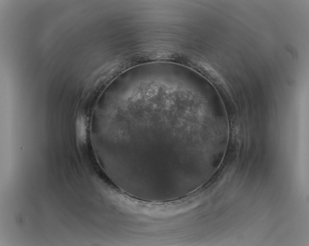 X0000113600026200909251206