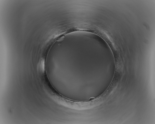 X0000113600027200909251206